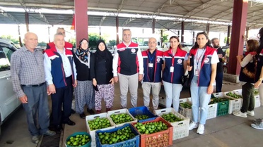 Aydın'da İncir Sezonu Öncesi Denetimler