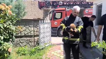 Köpek Kurtarıldı, İşçiler Sahiplendi