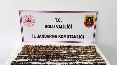 Yabani Salep Toplayan 3 Kişiye 2 Milyon TL Ceza