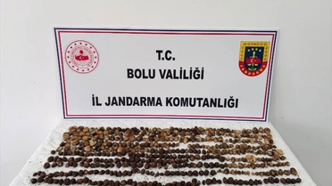 Doğada bulup topladılar! Yakalanınca 2 milyon TL ceza yediler