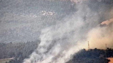 Çanakkale'de Karga Yangına Sebep Oldu