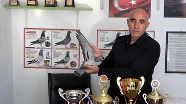 Akdeniz Şampiyonu Posta Güvercini