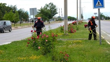 Erzincan'da yeşil alanlarda bakım çalışmaları sürüyor