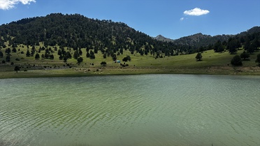 Yörükler Geleneksel Yayla Göçüne Başladı