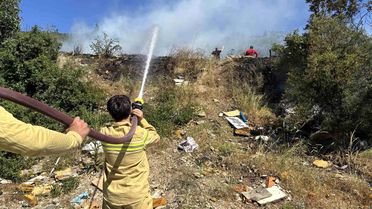 Kocaeli'de Ağaçlık Alanda Yangın