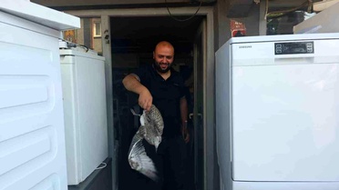 Martı Yavrusu Beyaz Eşya Dükkanında