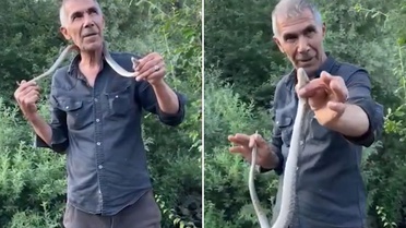 Resmen ölümle dans etti! Zehirli engerek yılanını boynuna doladı