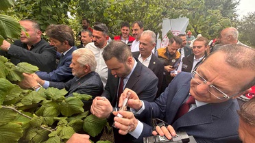 Trabzon'da kahverengi kokarcaya karşı doğal ordu göreve başladı