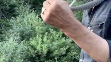 Yakup Koçak'tan Engerek Yılanı Uyarısı