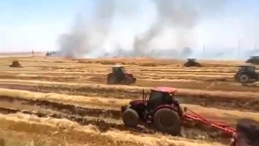 Viranşehir'de Anız Yangını Felaketi