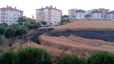 Bandırma'da buğday tarlası yangını korkuttu