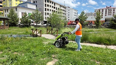 Belediye ekiplerinden yaz temizliği