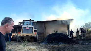 Bursa'daki Çiftlik Yangınında 4 Hayvan Telef Oldu