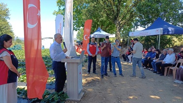 Çilek Hasat Şenliği Yenice'de Düzenlendi