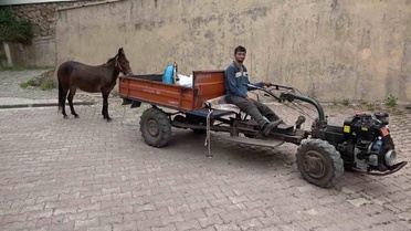 Engelli Genç ile Katırı Arasındaki Sıra Dışı Dostluk