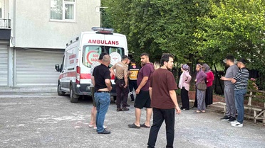 Dut Toplarken Düşen Adam Yaralandı