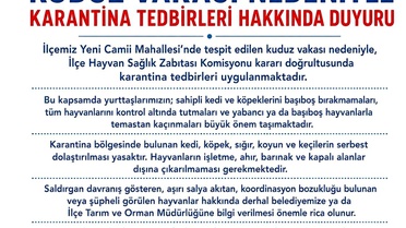 Edremit'te kuduz vakası sonrası karantina uygulaması başladı