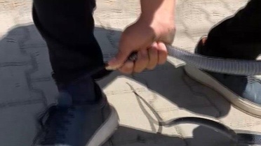 Yılancı Kemal Yılanı Yakaladı
