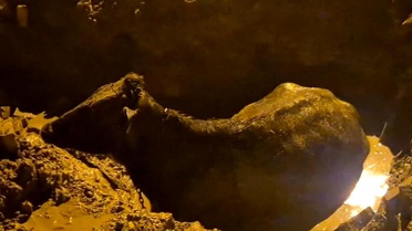 İnek belediyenin kazdığı çukura düştü