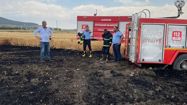 Gaziantep'te Buğday Tarlasında Yangın