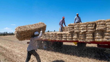 Kırklareli'nde Saman Balyası Mesaisi Başladı