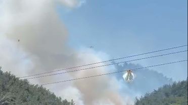 Soma'da Orman Yangını