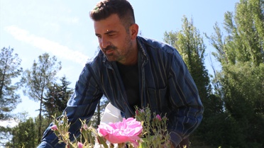 Ertaş Ailesinin Gül Yağı Başarısı