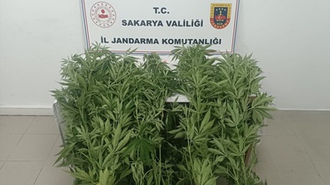 Sakarya'da Uyuşturucu Operasyonu: 3 Tutuklama