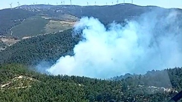 Soma'da Orman Yangınına Müdahale