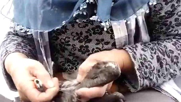 Karabatak Kurtarırken İkili Diyalog