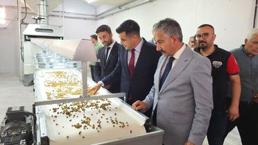 Tut'ta Dut Hasadı Başladı