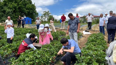 Yayla çileği aromasıyla öne çıkıyor