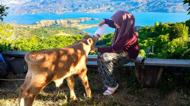 Zehra Uslu'nun Hayvan Sevgisi