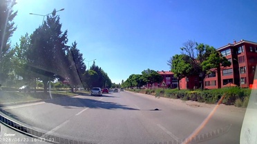 Kaplumbağa Kurtarıldı