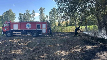 Muratlı'da Yangın: 5 Dönüm Buğday Zarar Gördü