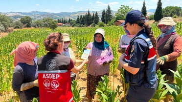 Kadınlara Şiddetle Mücadele Eğitimi