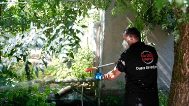 Vatandaşlara, Asya Kaplan sivrisineği uyarısı