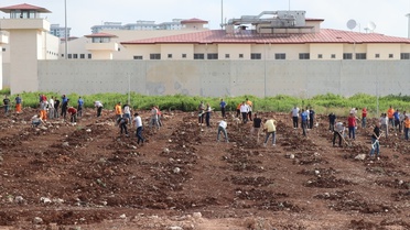 Adana'da 5 Bin Zeytin Fidanı Dikildi