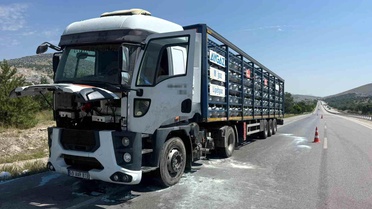 Bayat'ta TIR Yangını Korkuttu