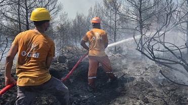 Antalya'da Orman Yangınına Müdahale
