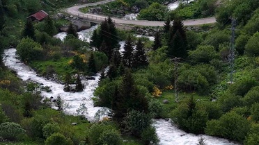 Rize Yaylaları Yeşile Büründü