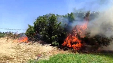 Çanakkale'de tarım arazisinde yangın