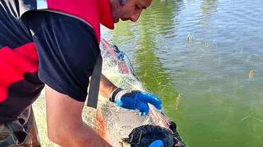 Çorum Barajı'nda Kaçak Av Düzeni Bozuldu