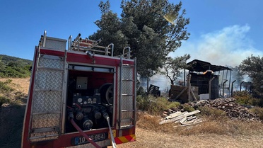Cunda Adası'ndaki Yangın