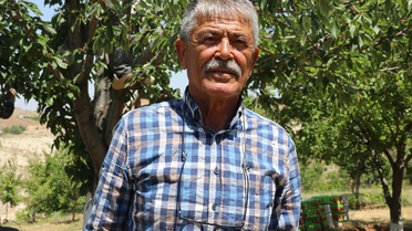 Dalbastı Kirazında Verim Sevinci