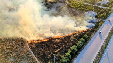 Mersin'de çıkan yangın evlere ve ormana ulaşmadan söndürüldü