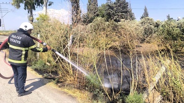 Reyhanlı'da zeytinlik alandan alevler yükseldi