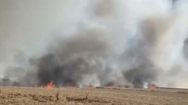 Hayrabolu'da 400 Dekar Buğday Tarlası Yandı