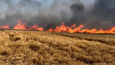 Tekirdağ'da Yangın: 400 Dönüm Buğday Tarlası Zarar Gördü