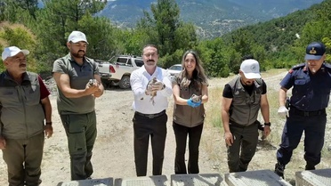 Reşadiye'de 200 Keklik Doğaya Salındı